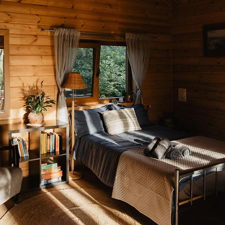 Berzu Namelis - Birch Cabin Kutsyuny Extérieur photo