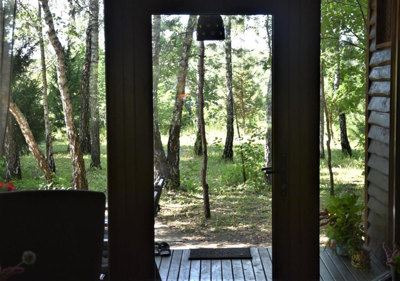 Berzu Namelis - Birch Cabin Kutsyuny Extérieur photo