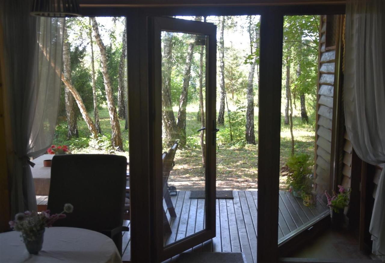 Berzu Namelis - Birch Cabin Kutsyuny Extérieur photo