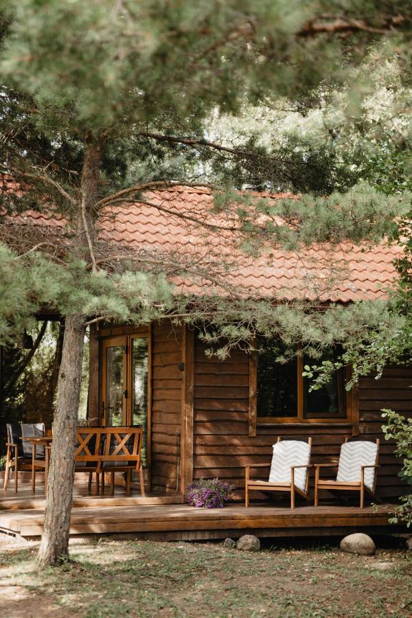 Berzu Namelis - Birch Cabin Kutsyuny Extérieur photo