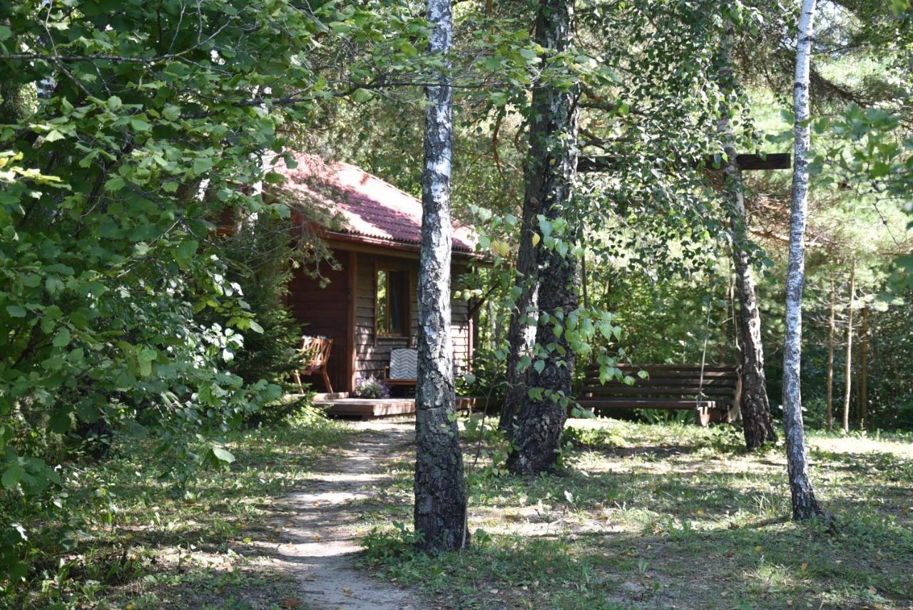 Berzu Namelis - Birch Cabin Kutsyuny Extérieur photo