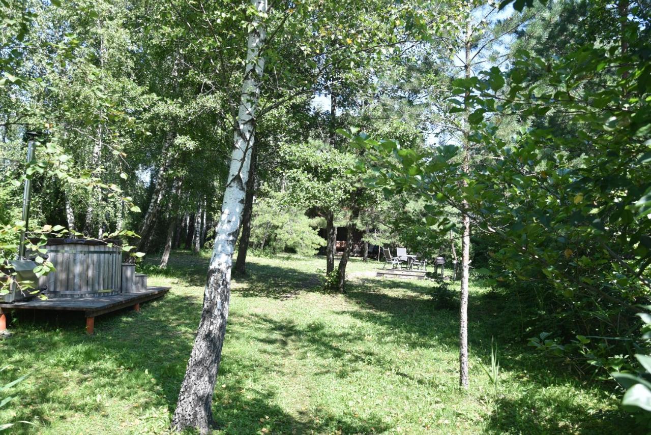 Berzu Namelis - Birch Cabin Kutsyuny Extérieur photo
