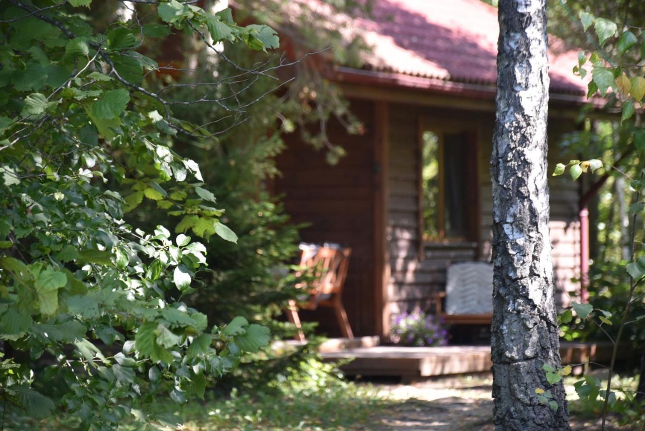Berzu Namelis - Birch Cabin Kutsyuny Extérieur photo