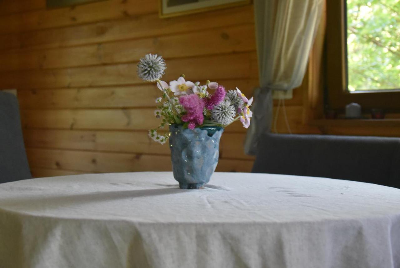 Berzu Namelis - Birch Cabin Kutsyuny Extérieur photo