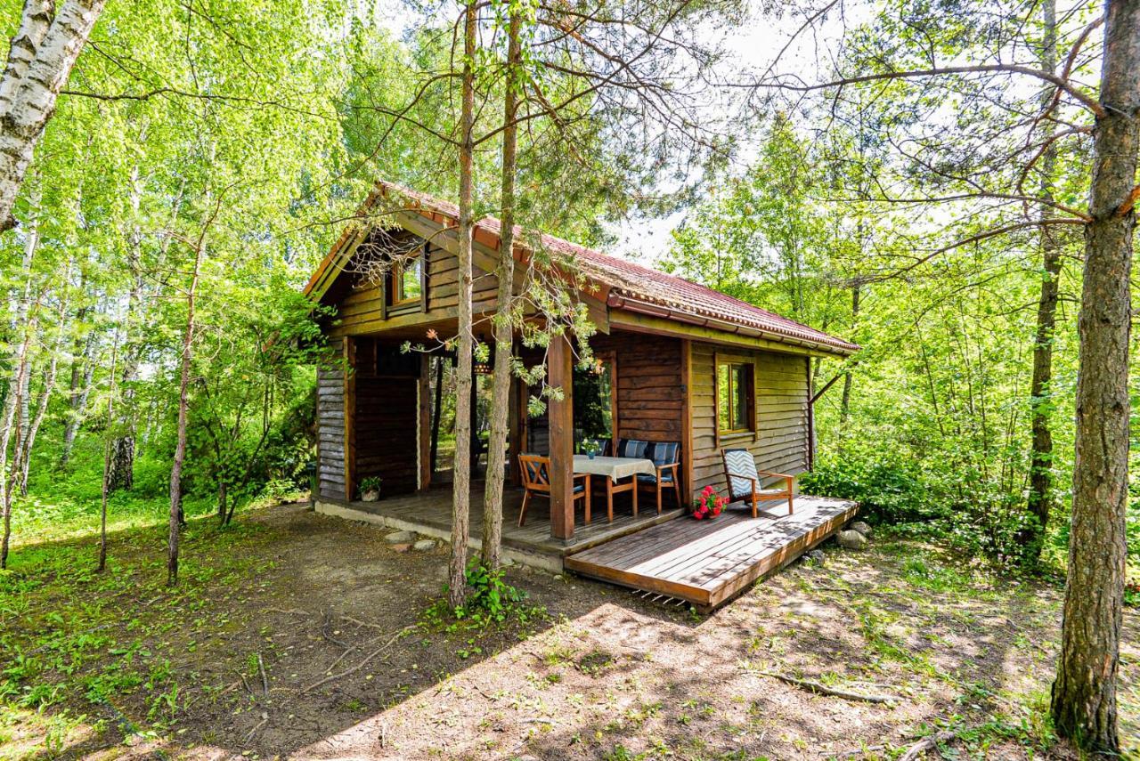 Berzu Namelis - Birch Cabin Kutsyuny Extérieur photo