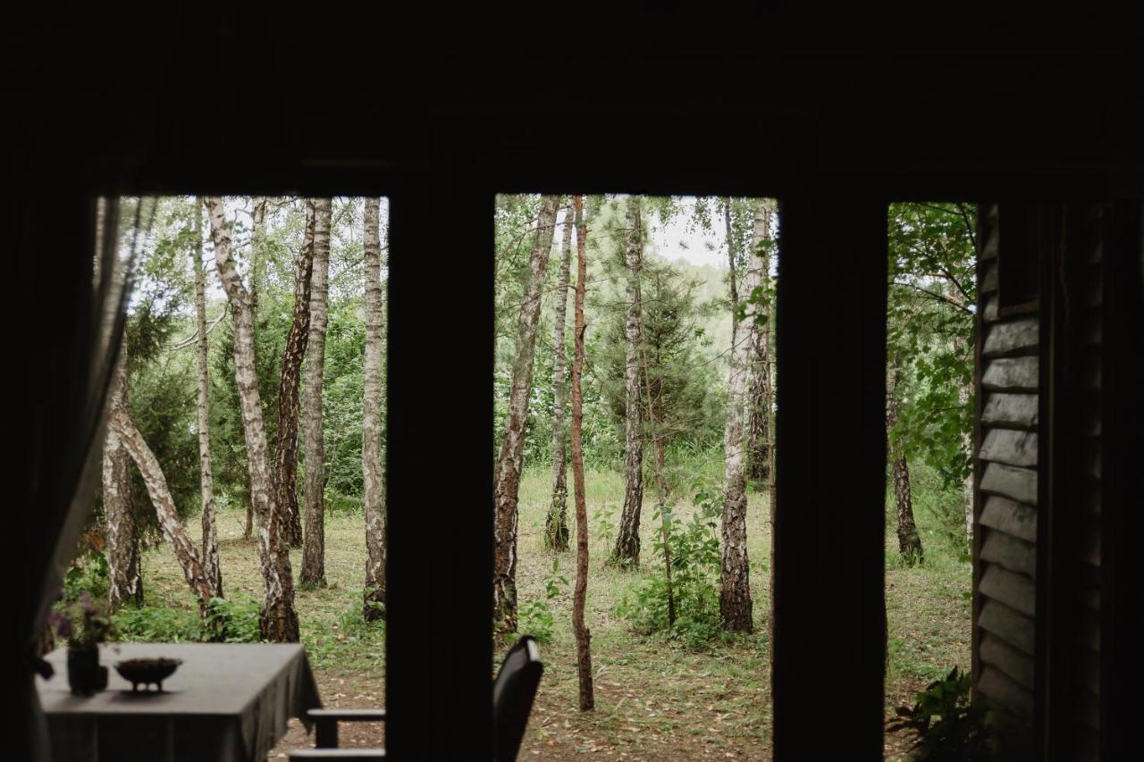 Berzu Namelis - Birch Cabin Kutsyuny Extérieur photo