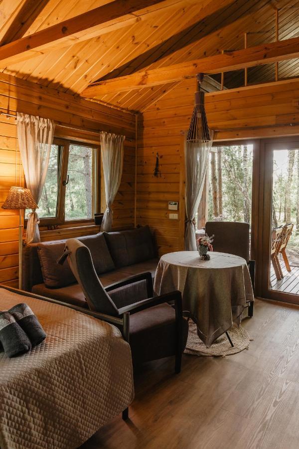 Berzu Namelis - Birch Cabin Kutsyuny Extérieur photo