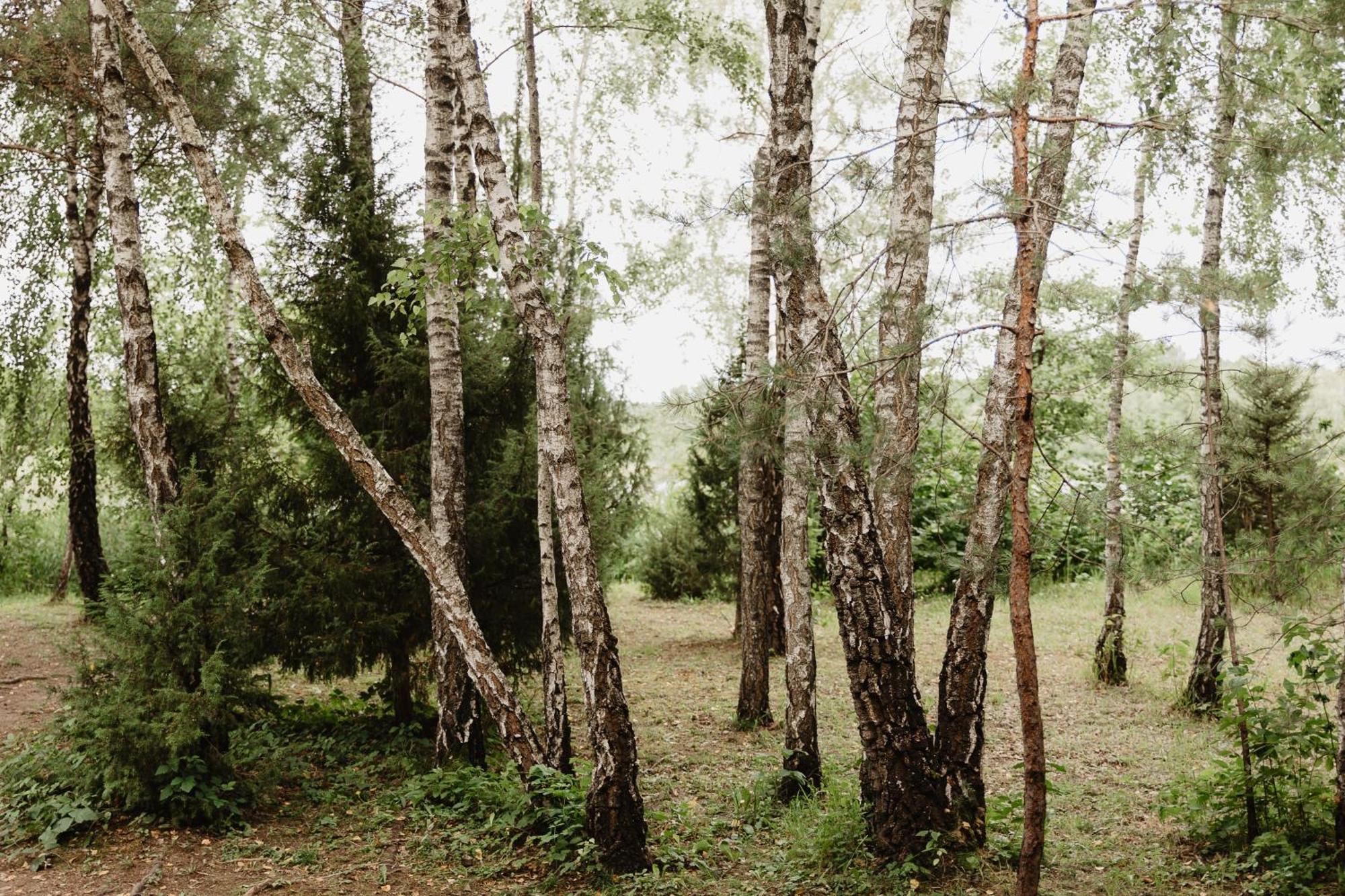 Berzu Namelis - Birch Cabin Kutsyuny Extérieur photo