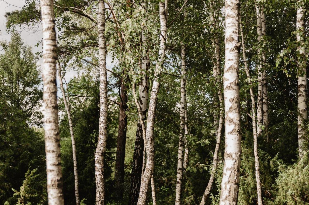 Berzu Namelis - Birch Cabin Kutsyuny Extérieur photo