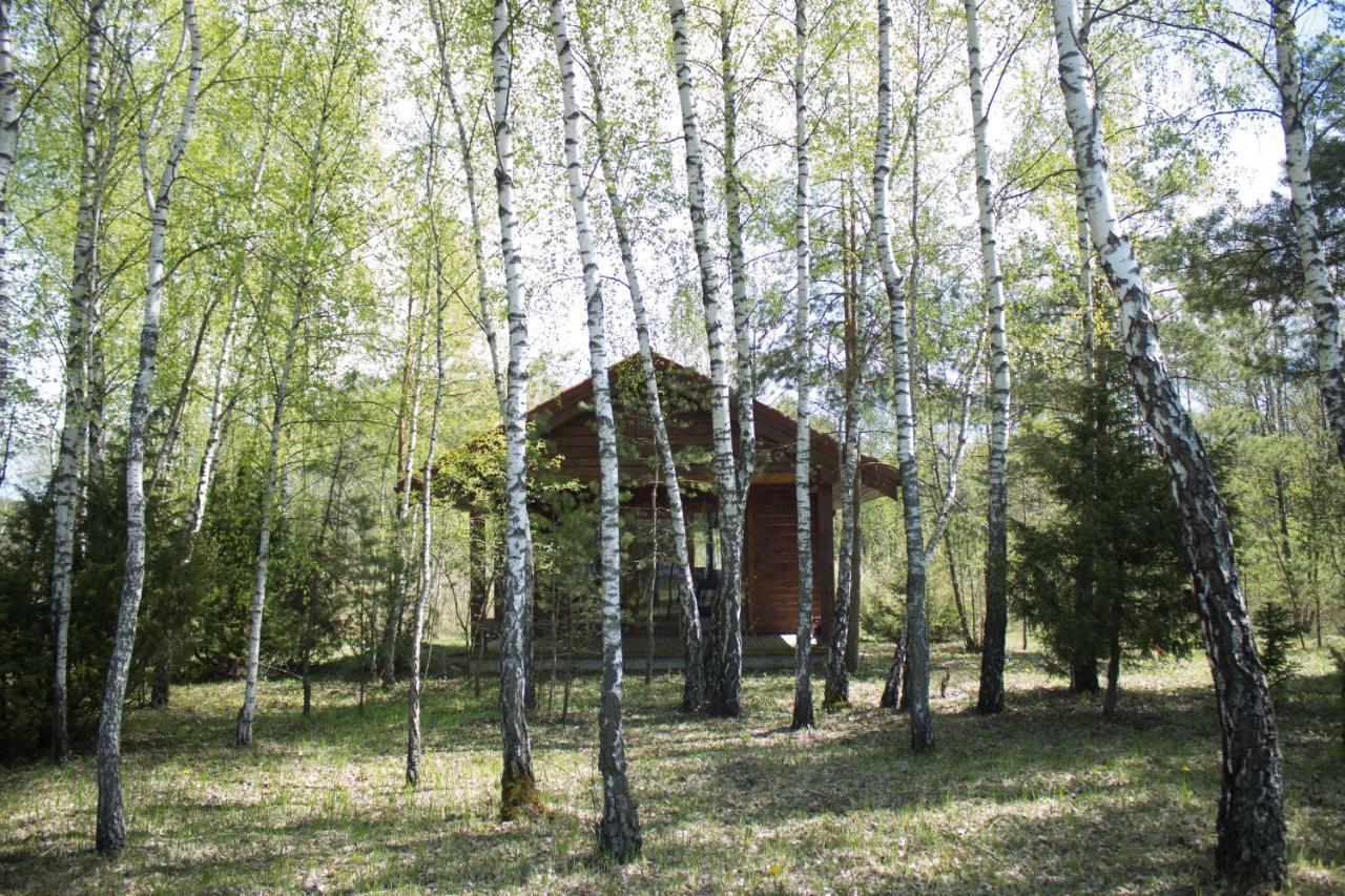 Berzu Namelis - Birch Cabin Kutsyuny Extérieur photo